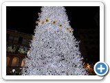 017 Albero di Natale a Salerno